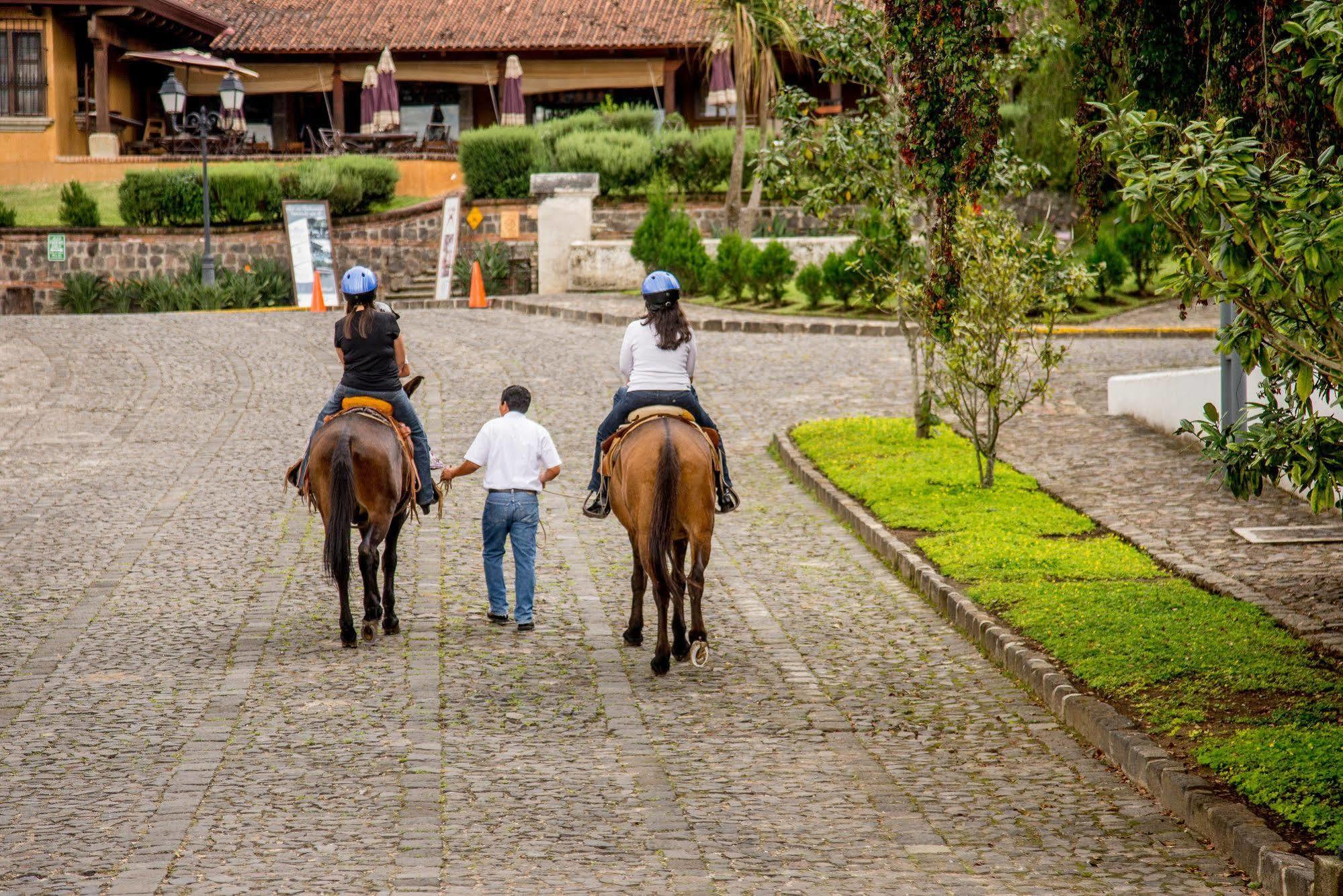 Filadelfia Coffee Resort & Tour Jocotenango Luaran gambar